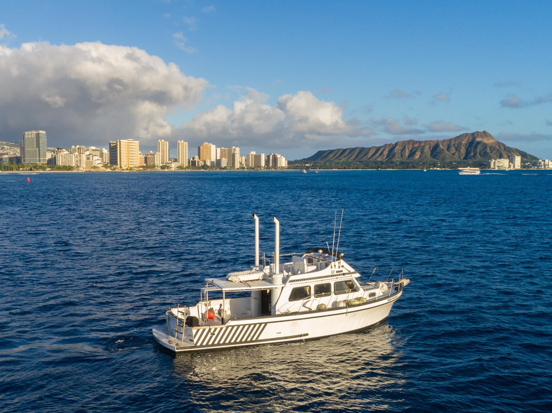 Diamond Head Cruises-火奴鲁鲁必去景点