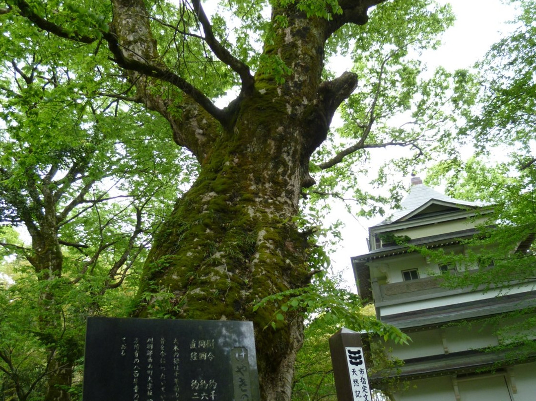 Shiiya Kannon Okeyaki景点图片