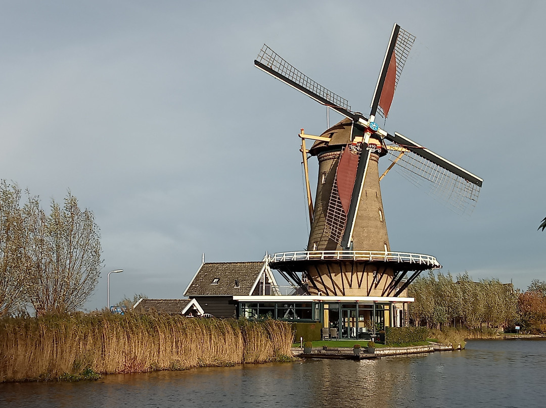 Molen De Vriendschap景点图片