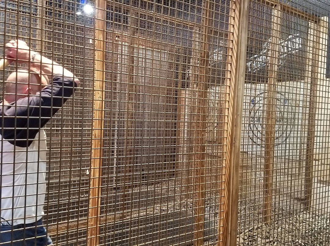 Throw Nation-都柏林必去景点