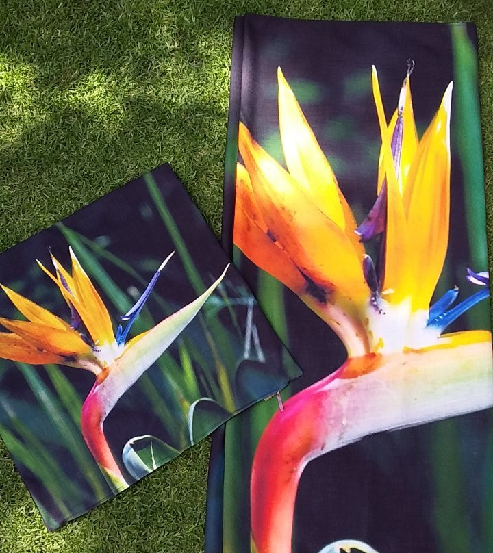 Orange Apple Country Shop and Snack Shack-Fouriesburg必去景点