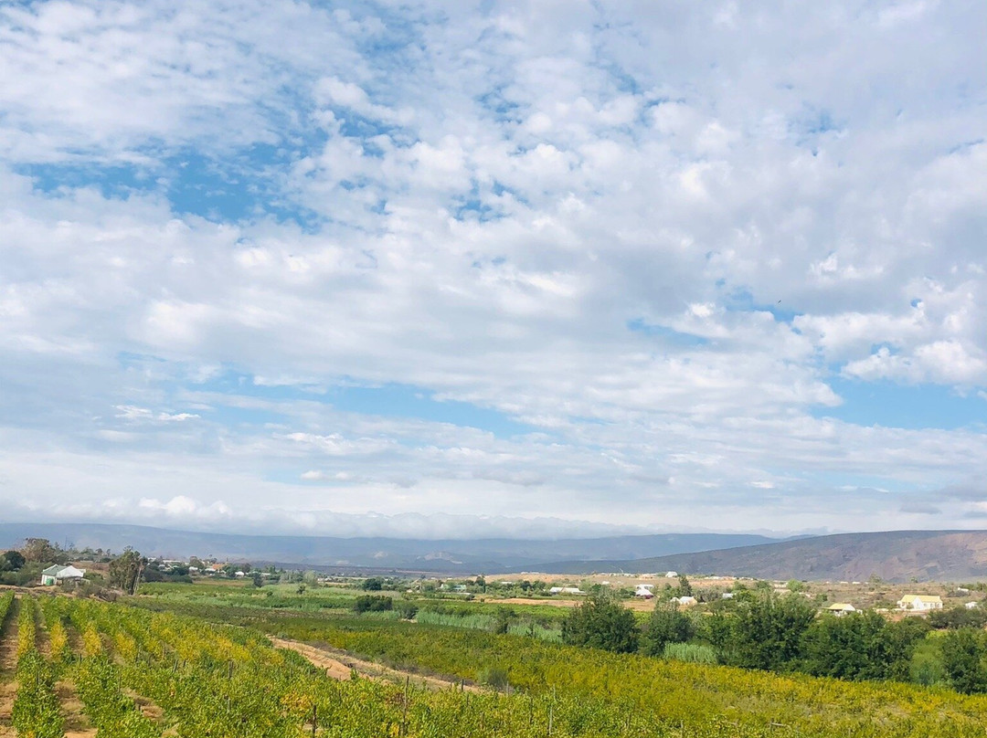 Calitzdorp Country House主图