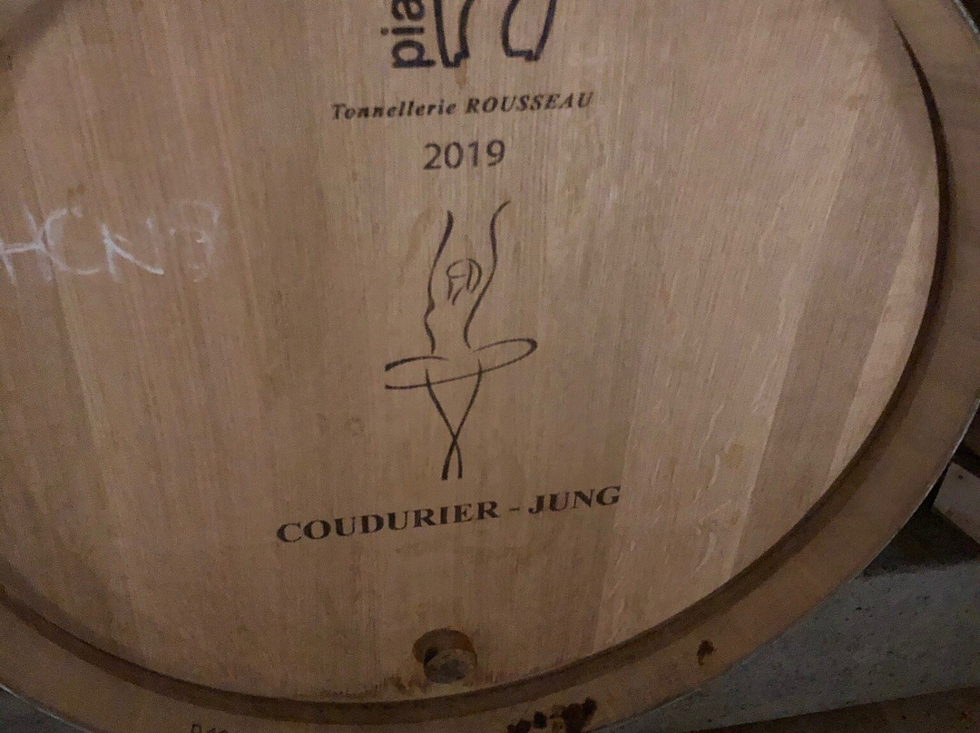 Vins Coudurier Jung景点图片