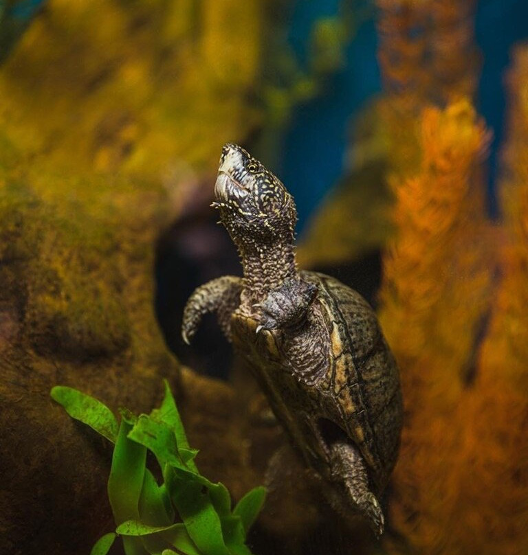 Zionsville Nature Center-Zionsville必去景点