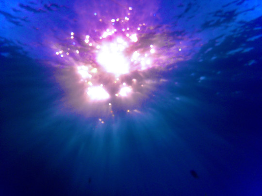 Destination Diving And Snorkel Maui-拉海纳必去景点