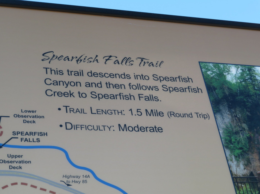 Spearfish Falls景点图片