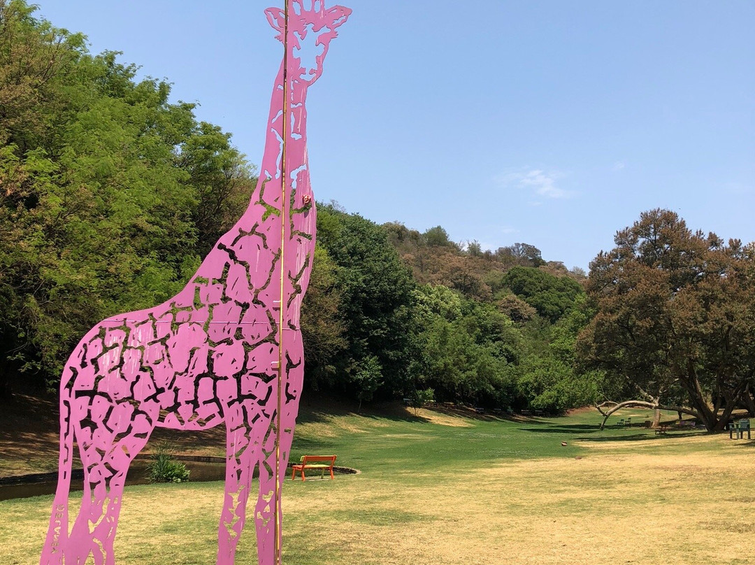 2024年9月The Wilds Nature Reserve景点攻略The Wilds Nature Reserve门票预订地址图片