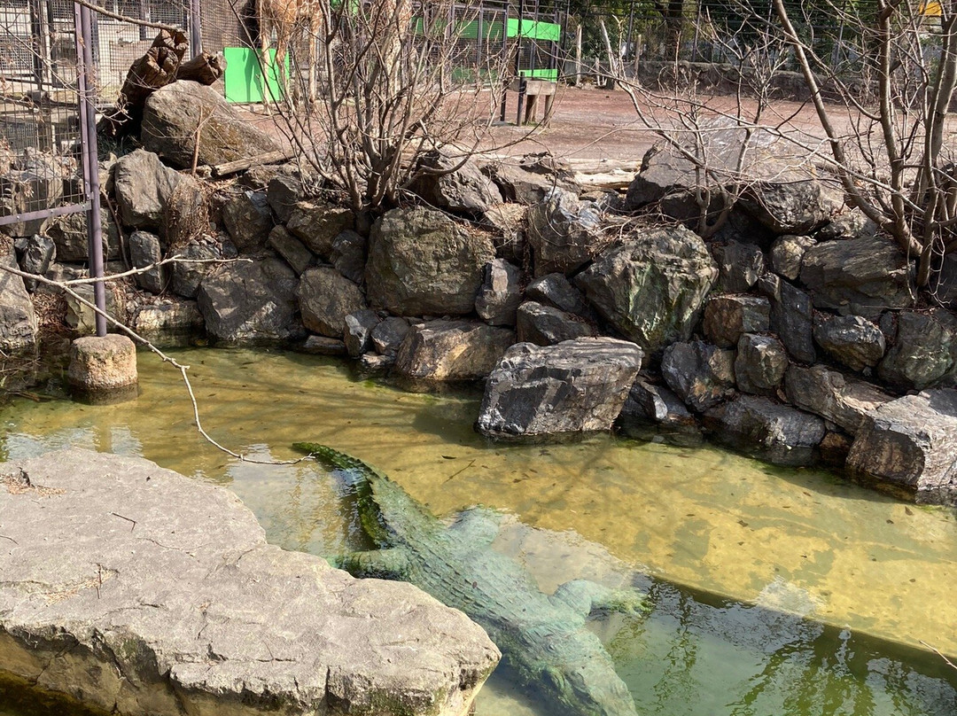 Hamura Zoo-羽村市必去景点