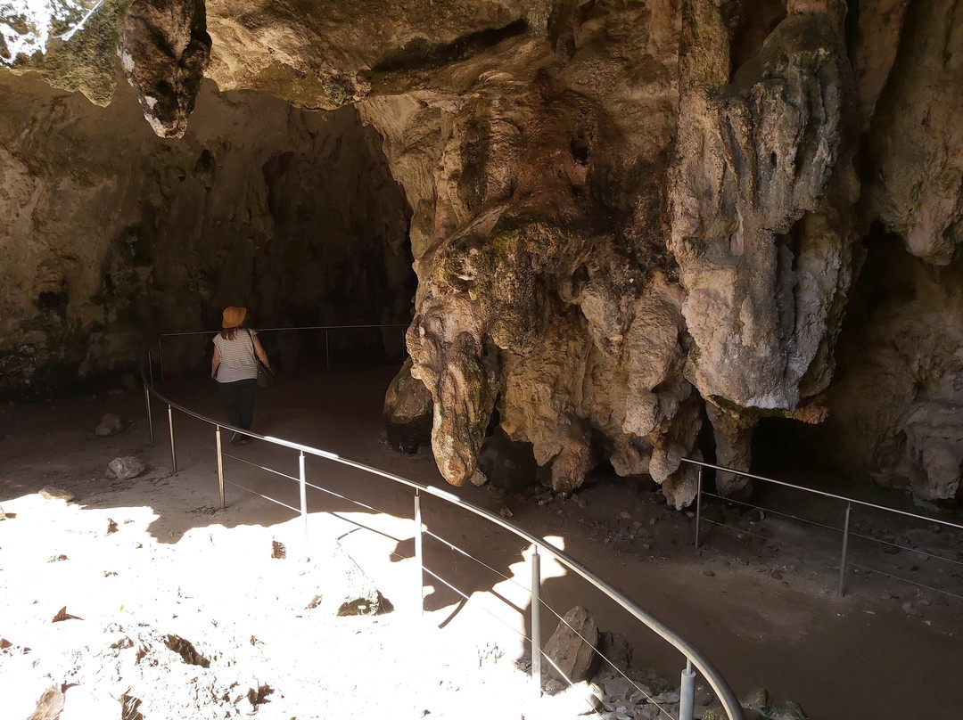 Stick Tomato Cave-Naracoorte必去景点