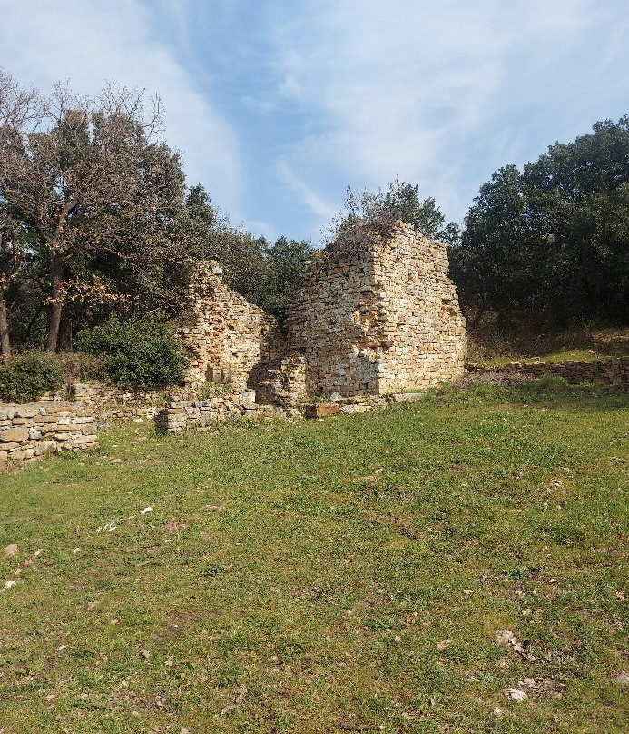 Oppidum Saint Vincent景点图片