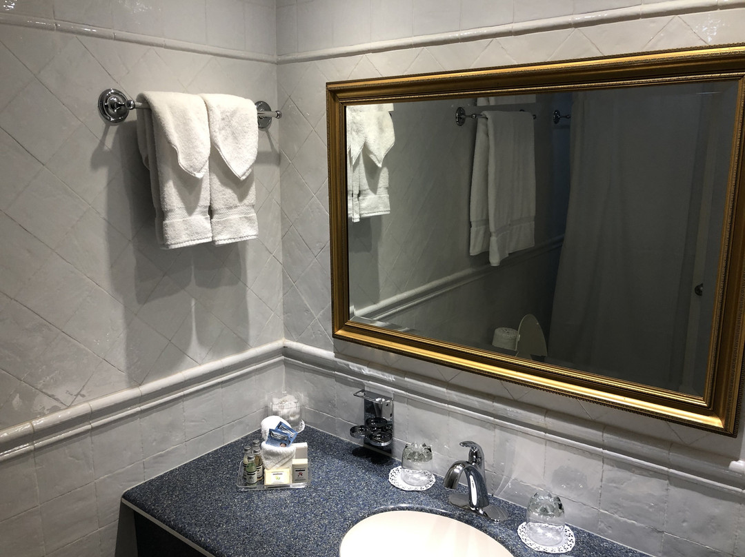 皇家棕榈酒店主图