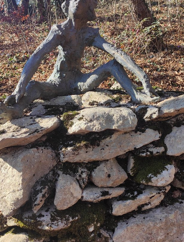 Sojo's Art and Nature Park景点图片
