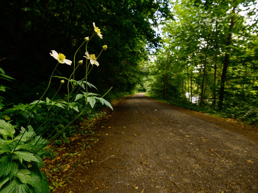 Greenbrier River Trail-西维吉尼亚必去景点