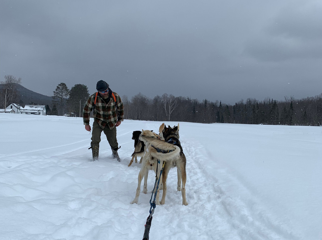Muddy Paw Sled Dog Kennel-Jefferson必去景点