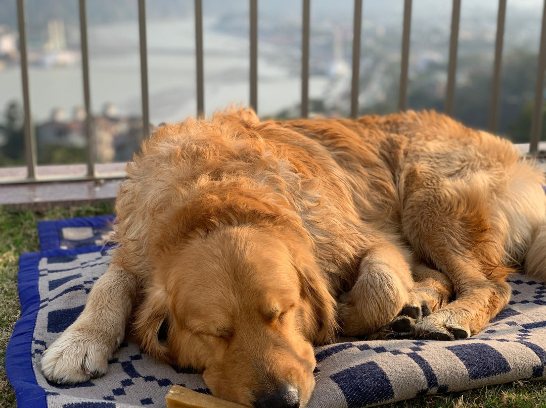 Founders Home by I-Create主图