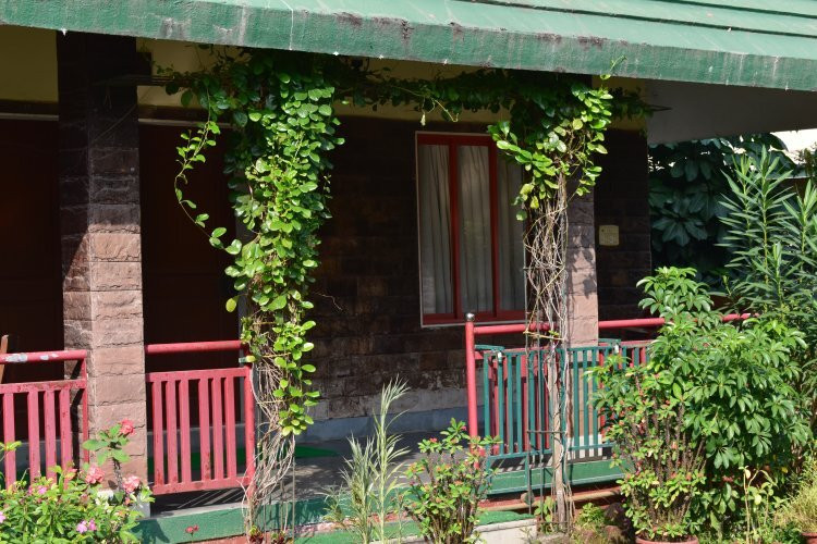 Countryside Farm主图