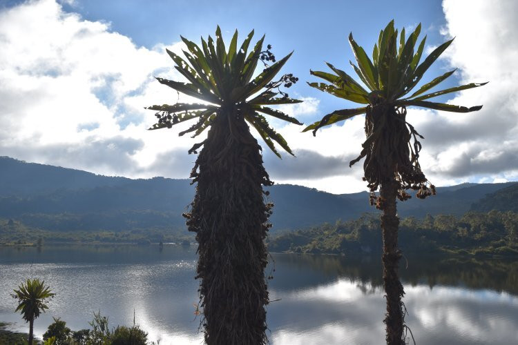 Laguna la Tarea-Zetaquira必去景点
