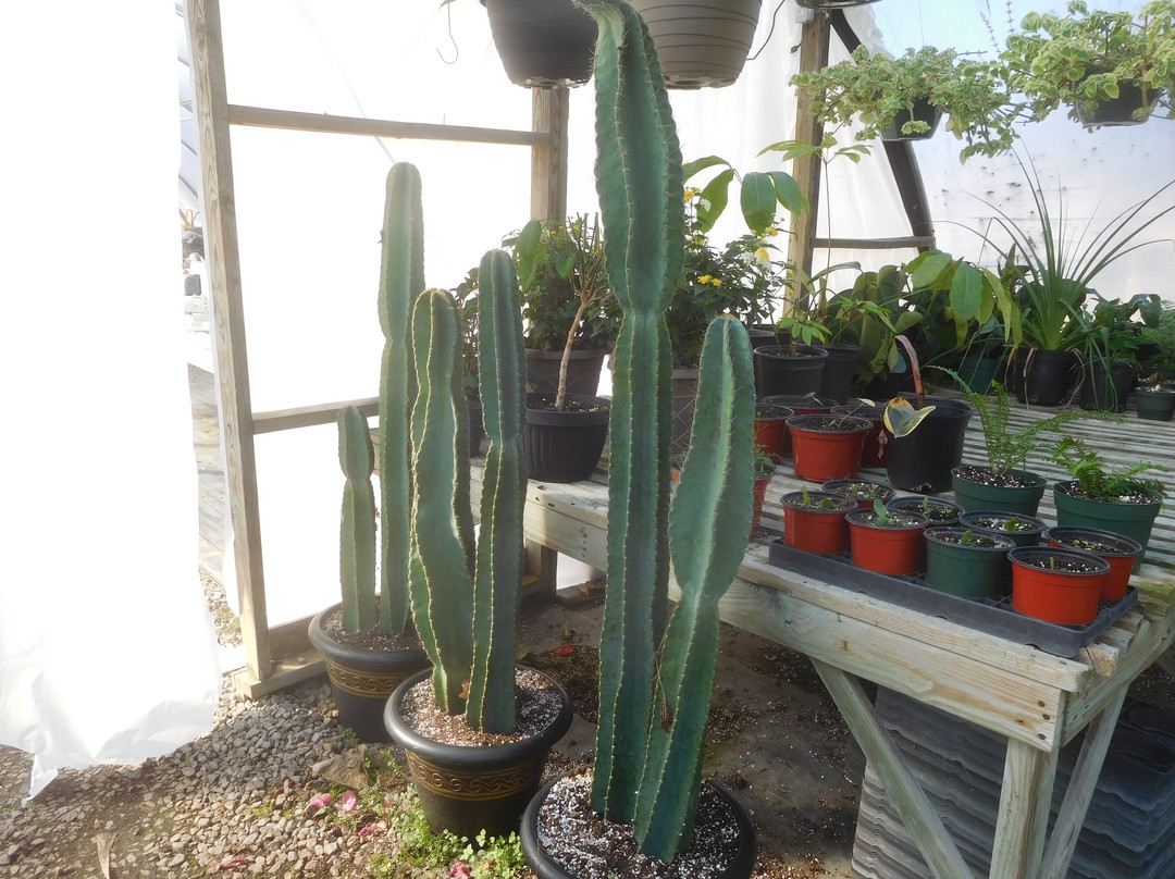 Clay's Garden Center & Farm Market-Blackstone必去景点