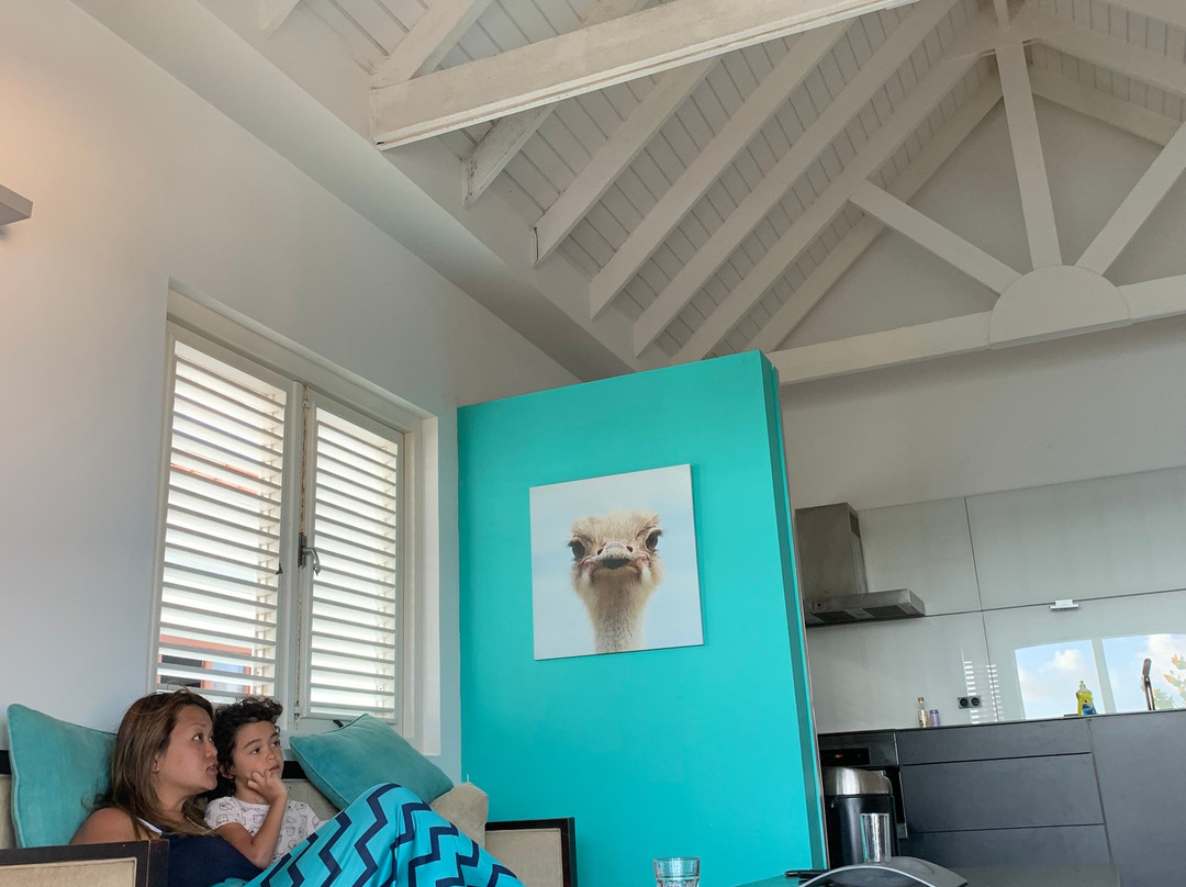 潜水旅馆和套房主图