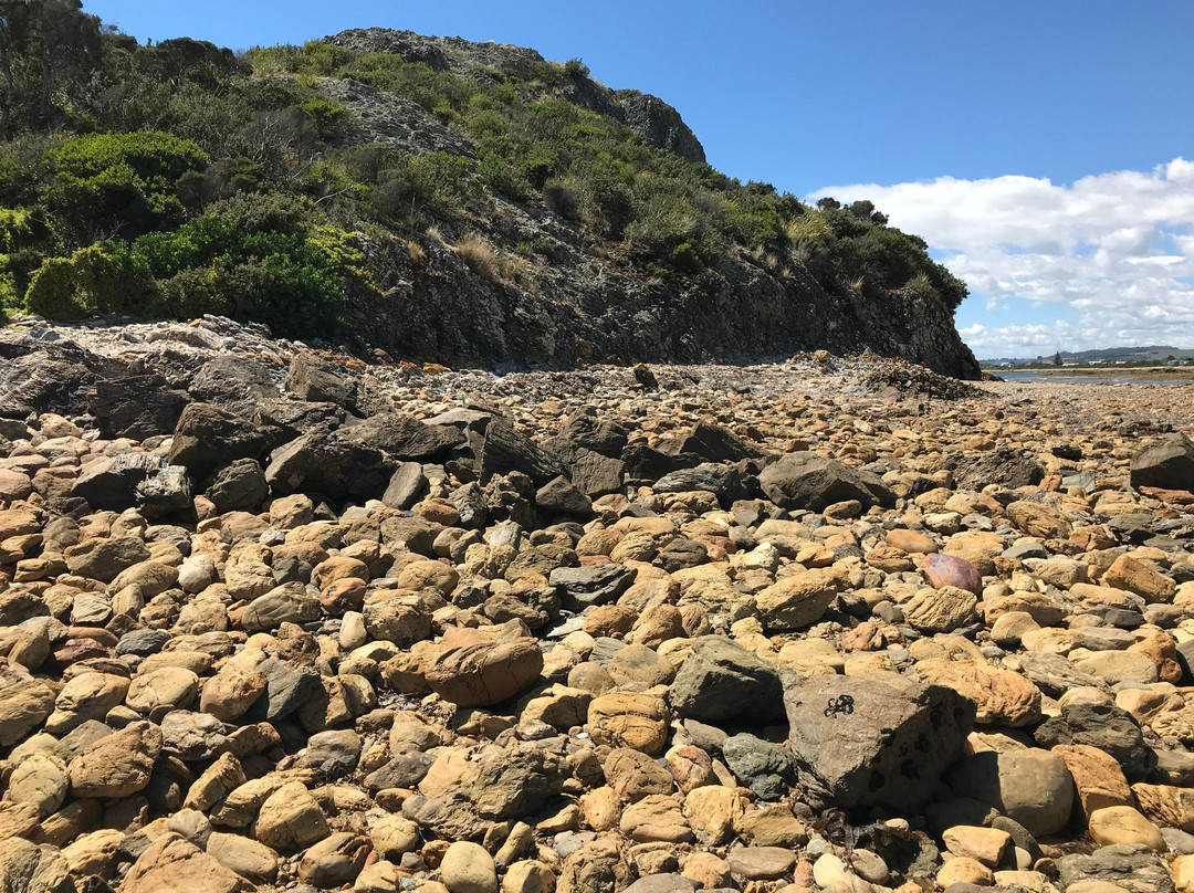Goat Island-Ulverstone必去景点