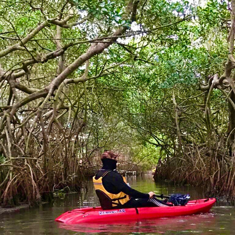 Laguna de Mandinga-韦拉克鲁斯必去景点