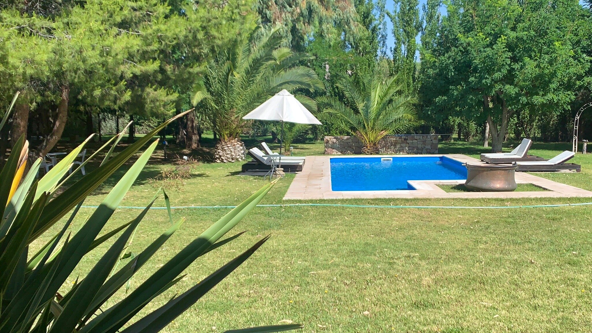 Suter Petit Hotel-官方