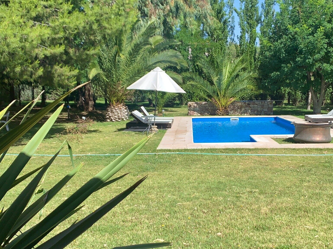 Suter Petit Hotel主图