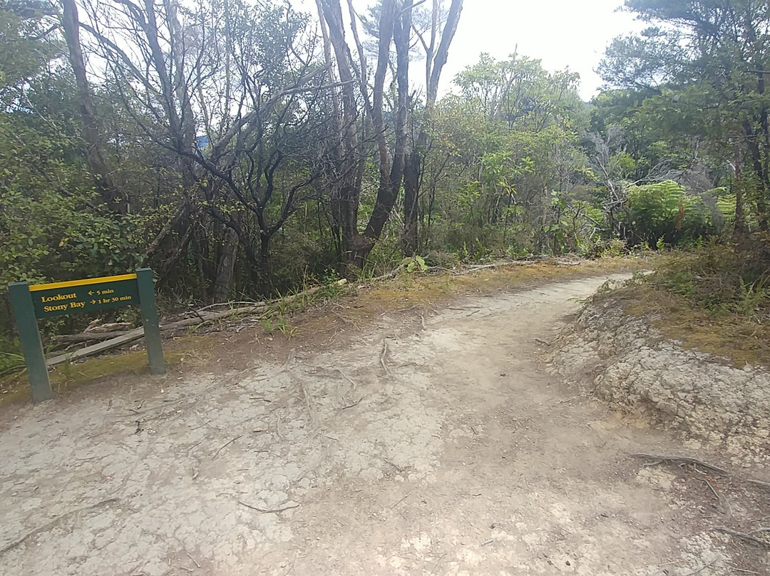 Coromandel Coastal Walkway景点图片
