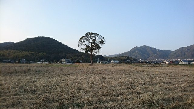 Keiko Tenno Anzaisho Ruins-防府市必去景点