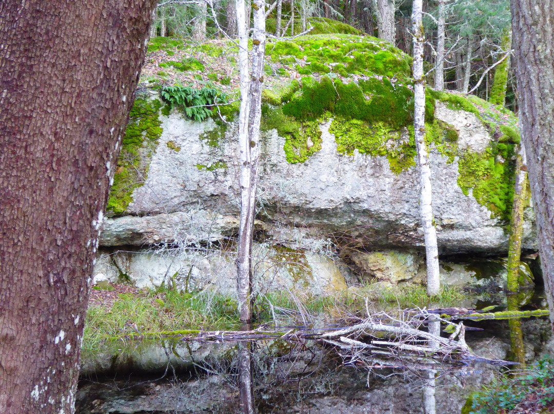 Stoney Hill Regional Park景点图片