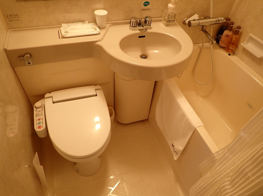 Iwaki Washington Hotel主图