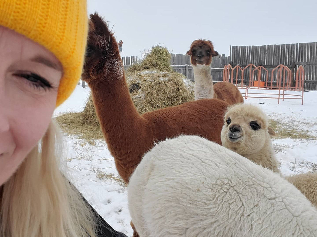 White Barn Fun Farm-布鲁克斯必去景点