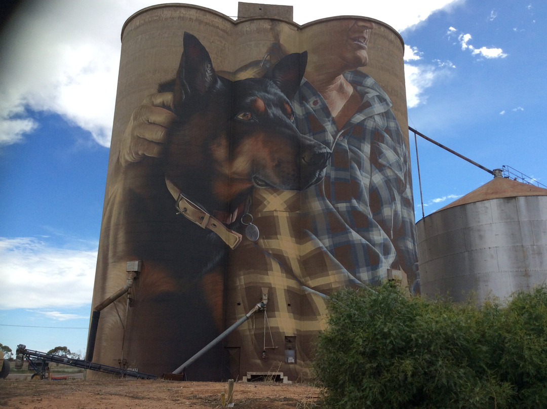 Silo Art Trail-Sheep Hills必去景点