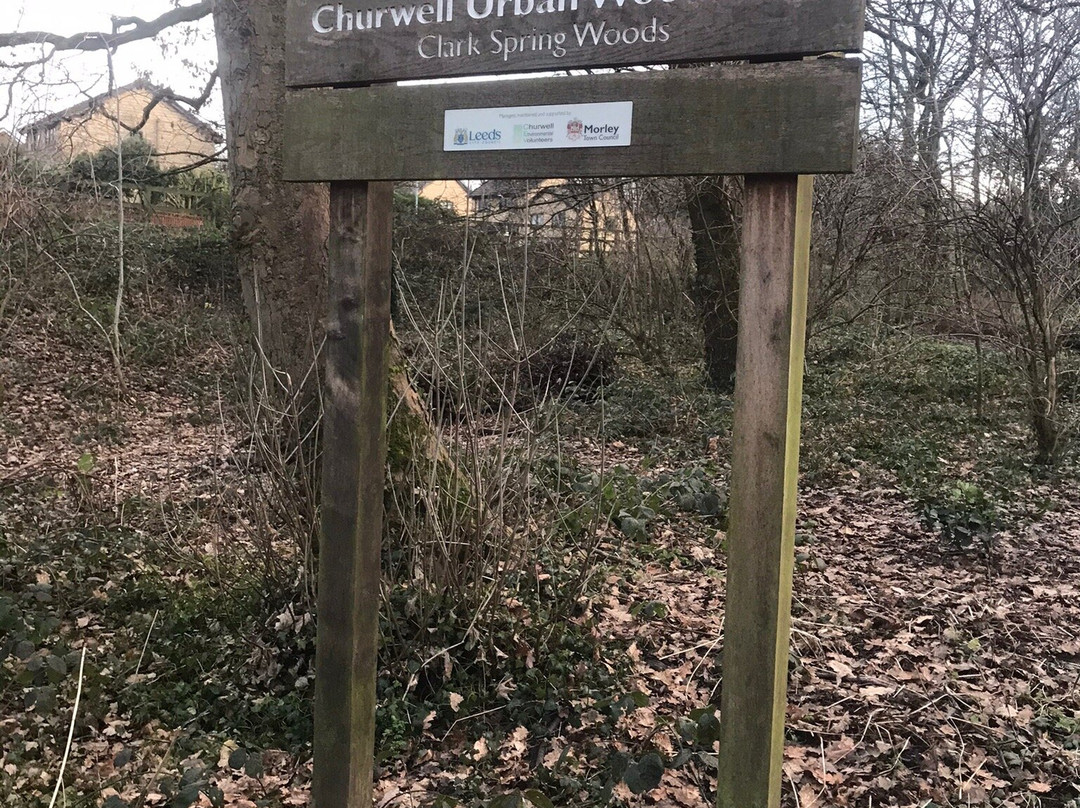 Churwell Woodland Railway-Morley必去景点