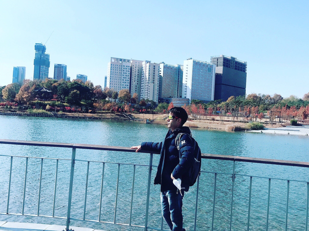 Sejong Lake Park-世宗市必去景点