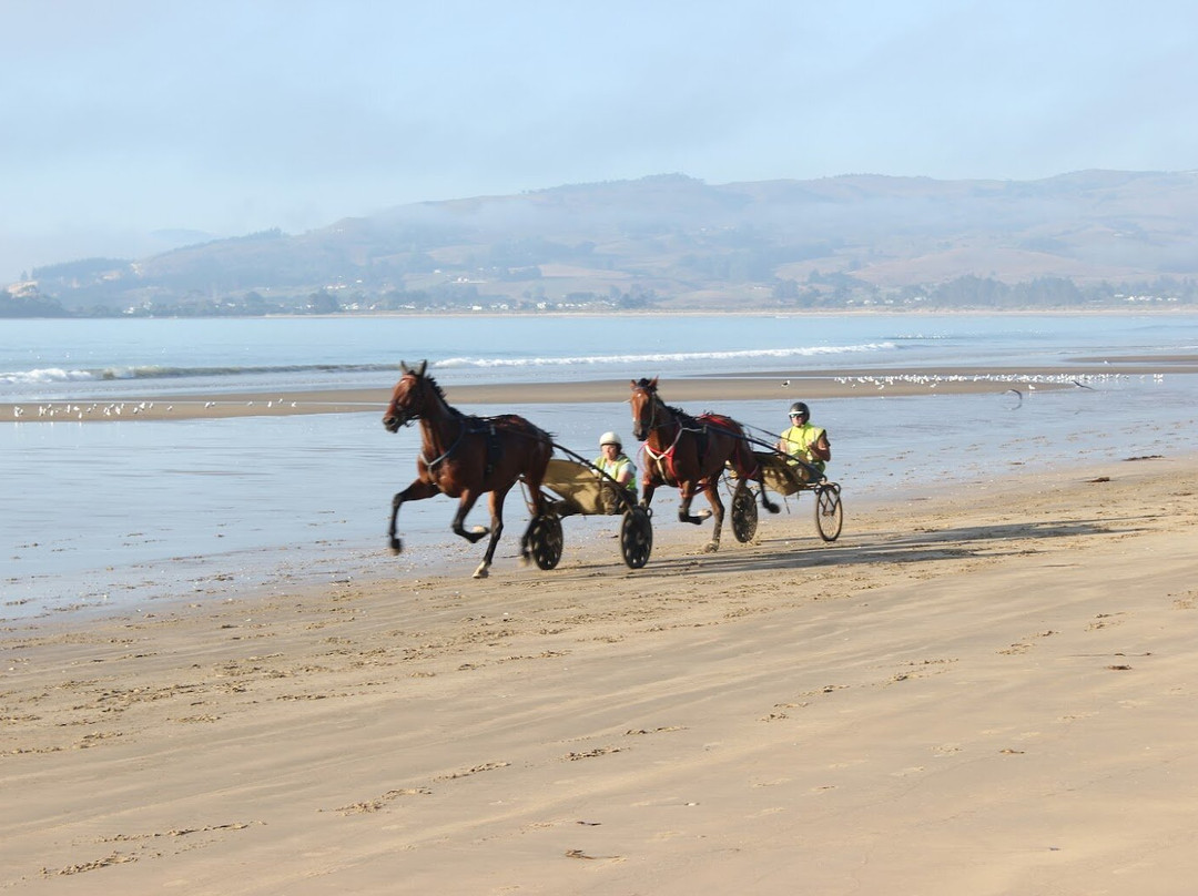 Waikouaiti Beach景点图片