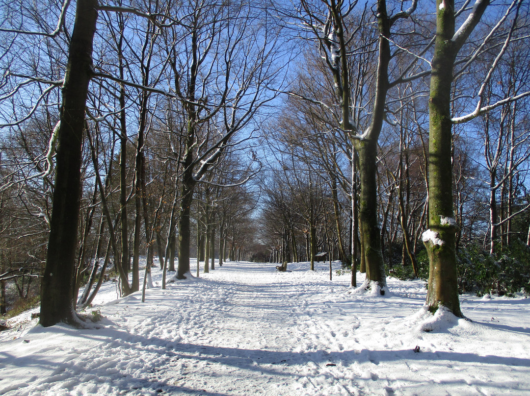 The Deepdene Trail景点图片