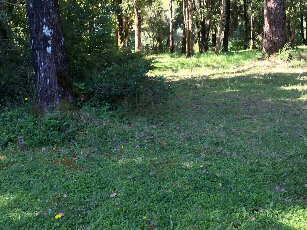 Hotel Posada del Rio - Parque Metrenehue主图