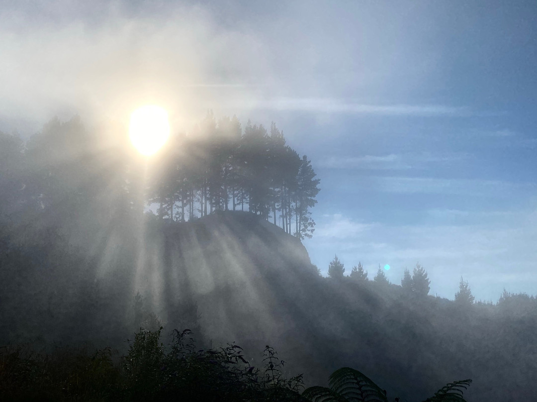 Whanganui National Park-旺加努伊必去景点