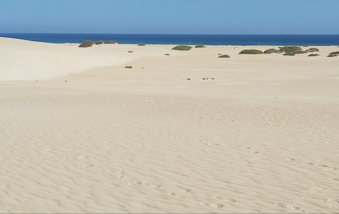 Dunas De Corrallejo景点图片