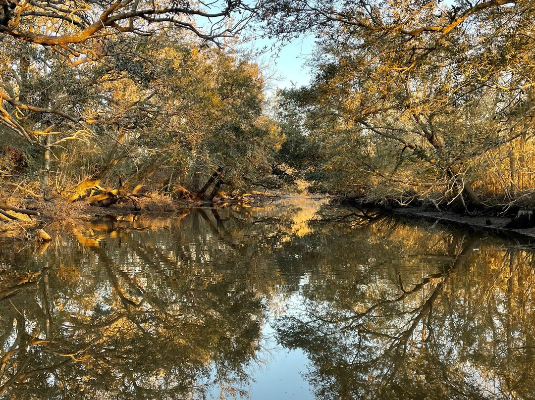 Happiness Bayou Tours-新奥尔良必去景点