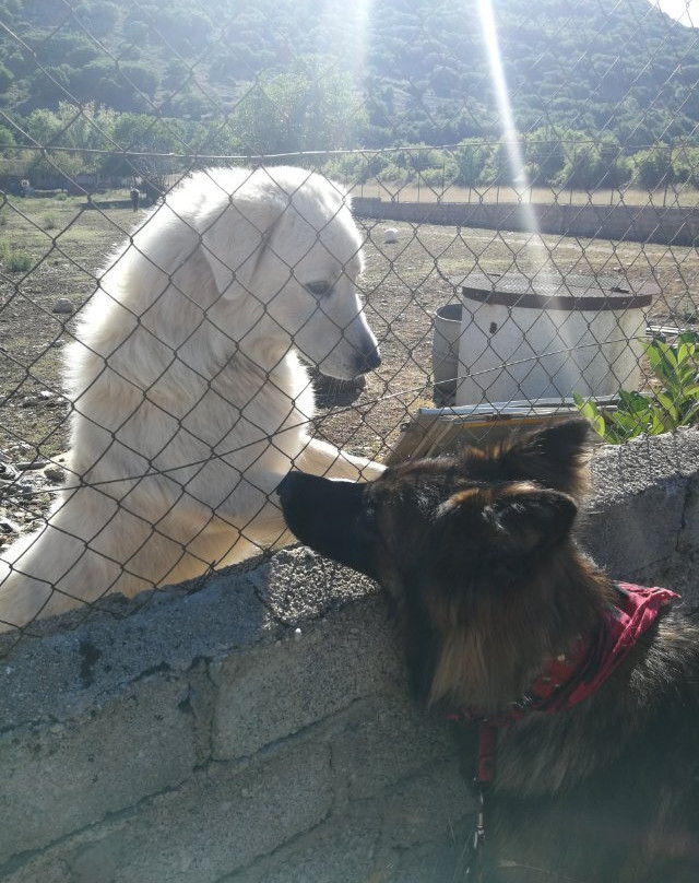 La Collina di Peppino主图