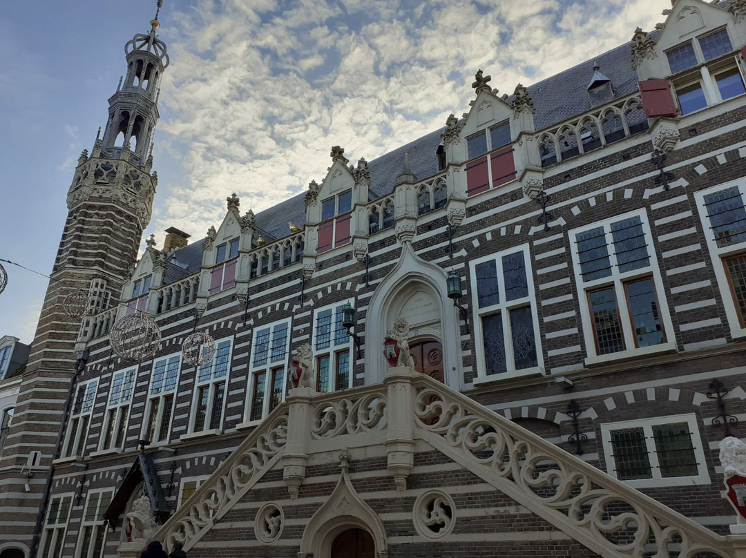 Alkmaar City Hall景点图片