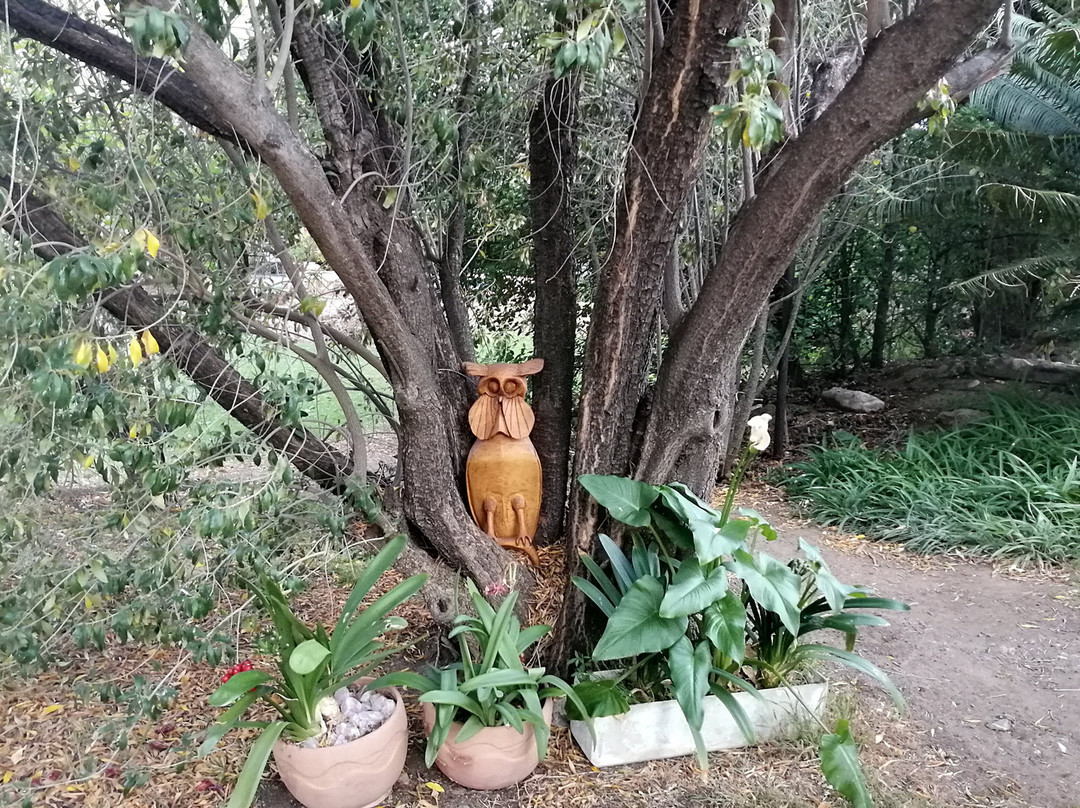 Saxe-Coburg Lodge主图