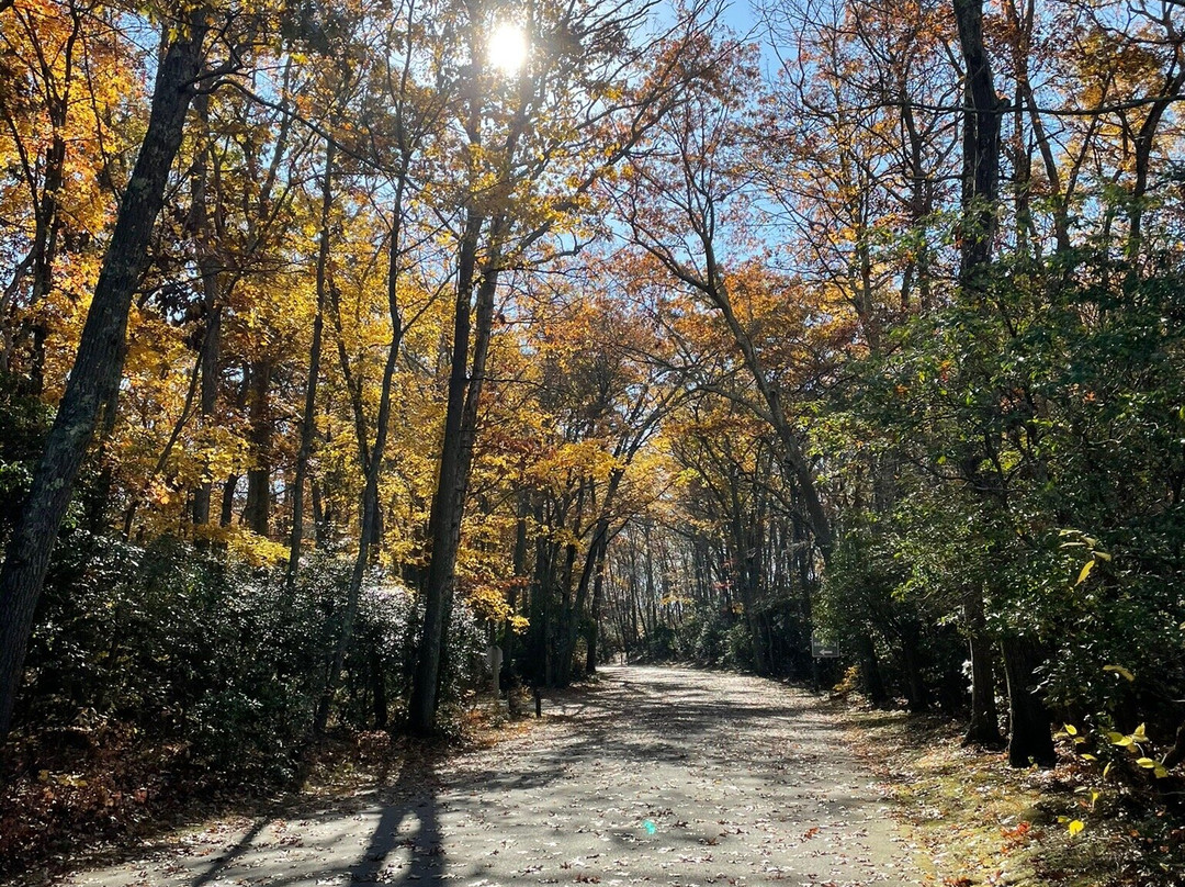 Rocky Neck State Park景点图片