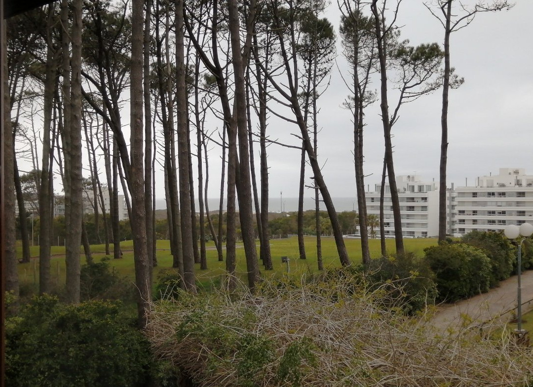 Il Belvedere Hotel主图