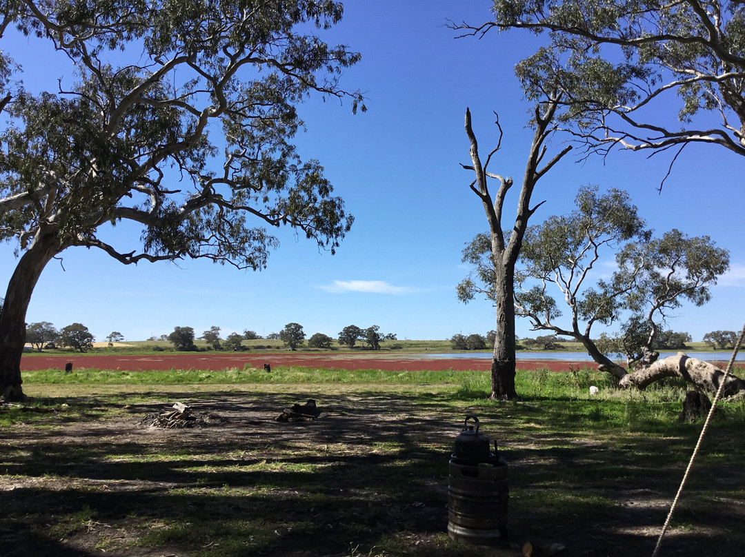 Cockatoo Lake Recreation Reserve-Naracoorte必去景点