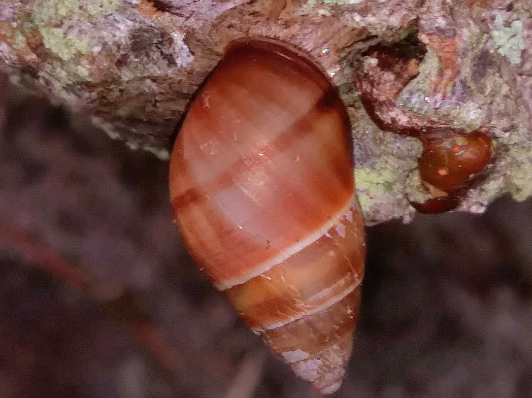 热带公园-迈阿密必去景点