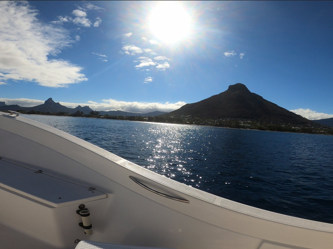 Whale Dream - Swim with Dolphins and Whale watching excursions in Mauritius-黑河必去景点