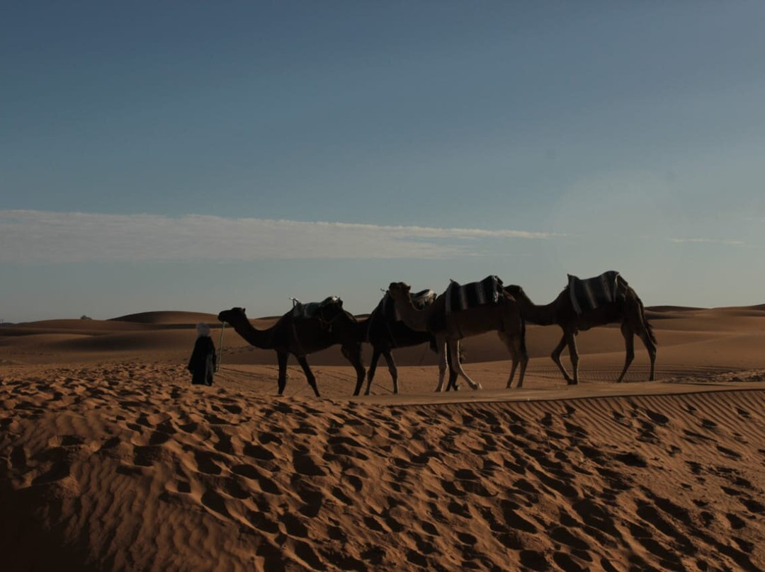 Auberge Du Sud主图